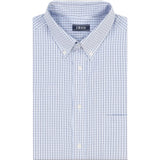 PINPOINT OXFORD BUTTON DOWN DRESS SHIRT - CORNFLOWER BLUE