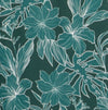 MEDITERRANEA