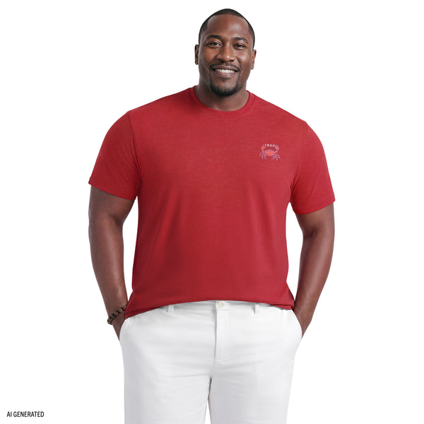 BIG & TALL SALTWATER SHORT SLEEVE GRAPHIC TEE - SUNDRIED TOMATO – IZOD
