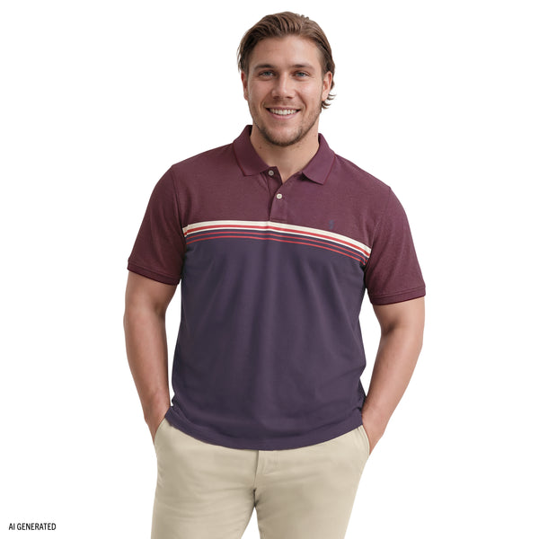 トップス tdk_void polo BIG & TALL ADVANTAGE PERFORMANCE SHORT SLEEVE POLO - ZINFANDEL – IZOD