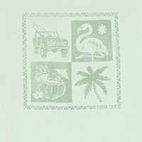 SALTWATER SHORT SLEEVE GRAPHIC TEE - BIRDS EGG GREEN
