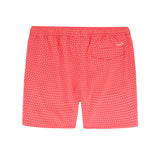 SALTWATER BEACH PERFORMANCE SWIM TRUNK - DUBARRY