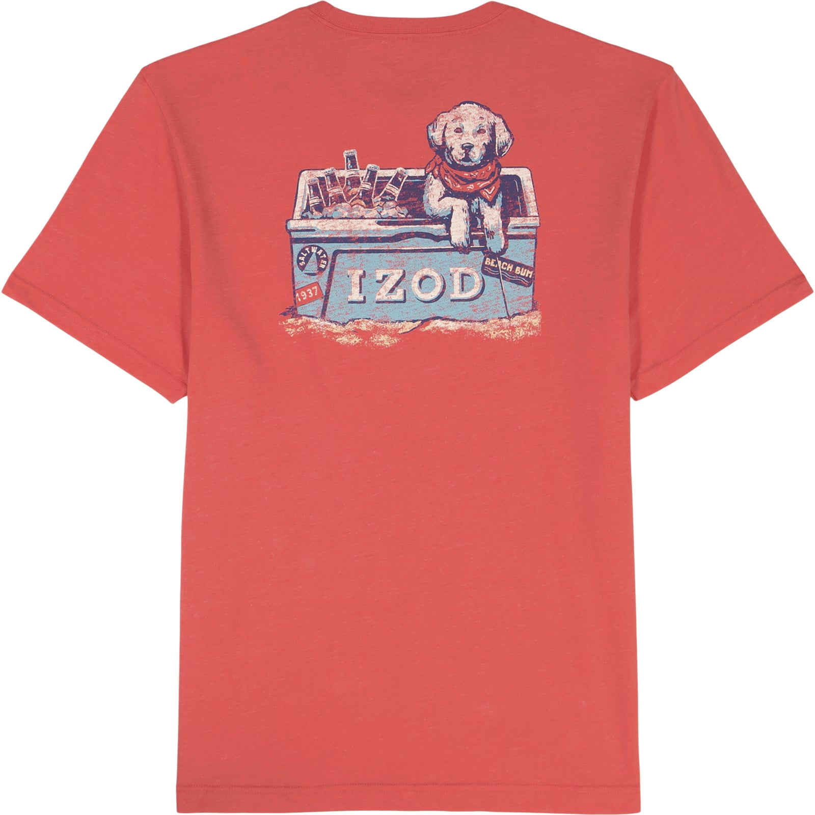 SALTWATER S/S GRAPHIC TEE - ROSE OF SHARON – IZOD