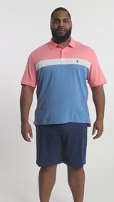 BIG & TALL ADVANTAGE PERFORMANCE SHORT SLEEVE STRIPE POLO - DUBARRY