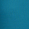 BLUE CORAL