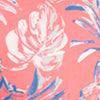 ROSE OF SHARON