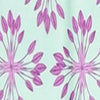YUCCA